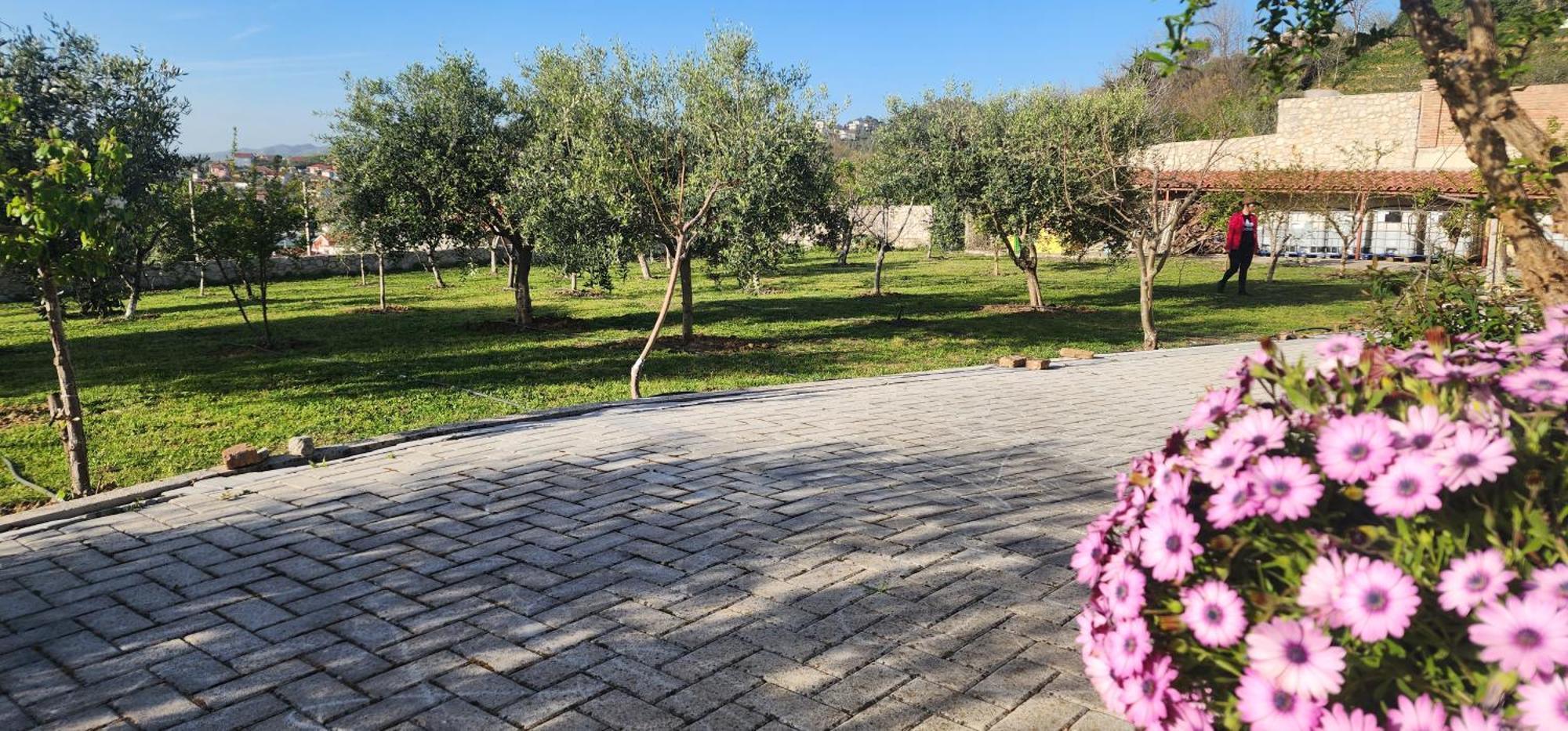 Villa “Pool & Sun” دراس المظهر الخارجي الصورة